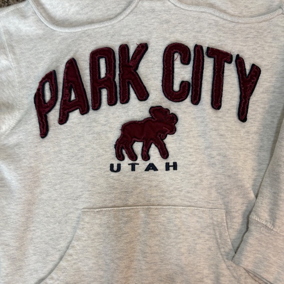 Blue 84 Park City Utah Heavy Gray Hoodie Burgundy Letters & Moose Patches Small - Picture 2 of 5